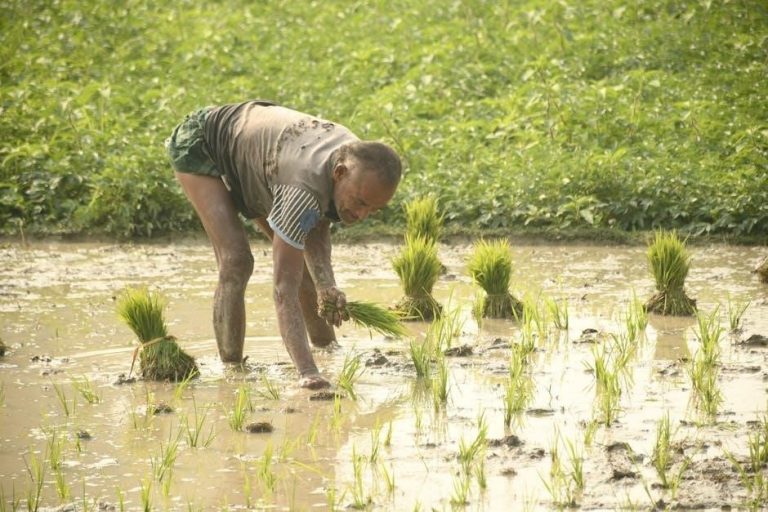 west bend rice cooker instructions