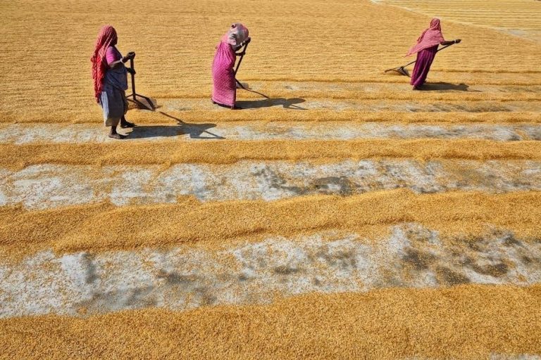 cuckoo rice cooker manual